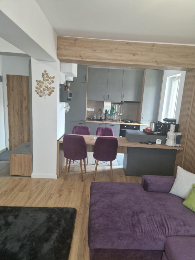 Casa Mov Apartment Brasov Exterior photo